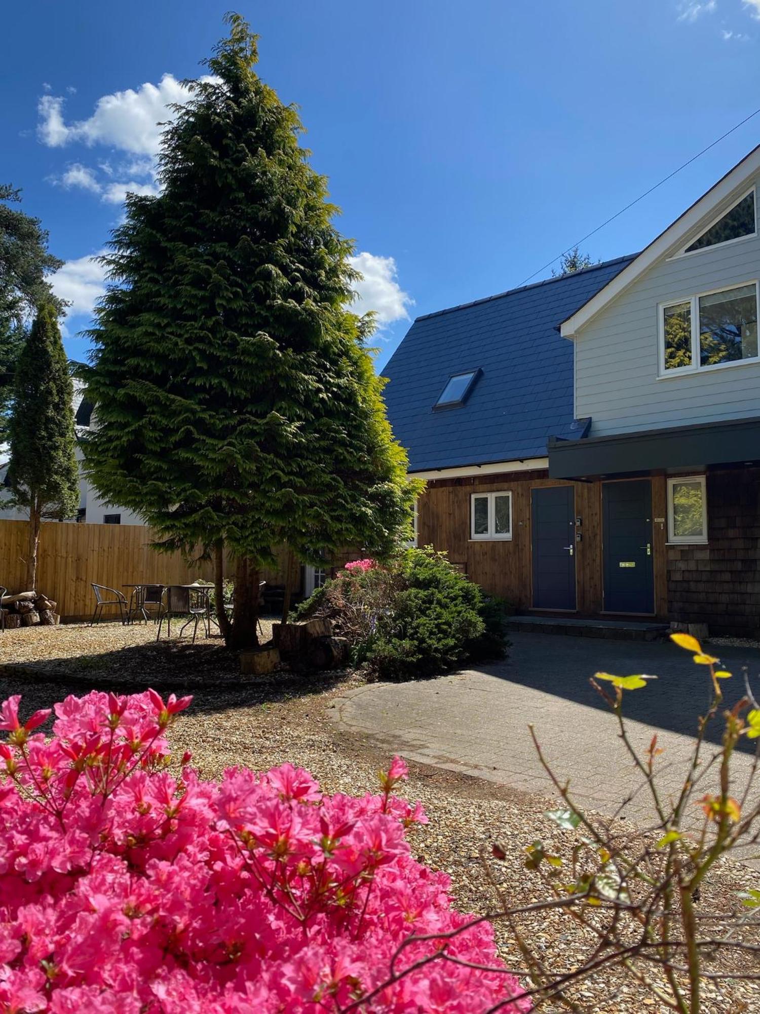 Petherton Cottage Ringwood Esterno foto
