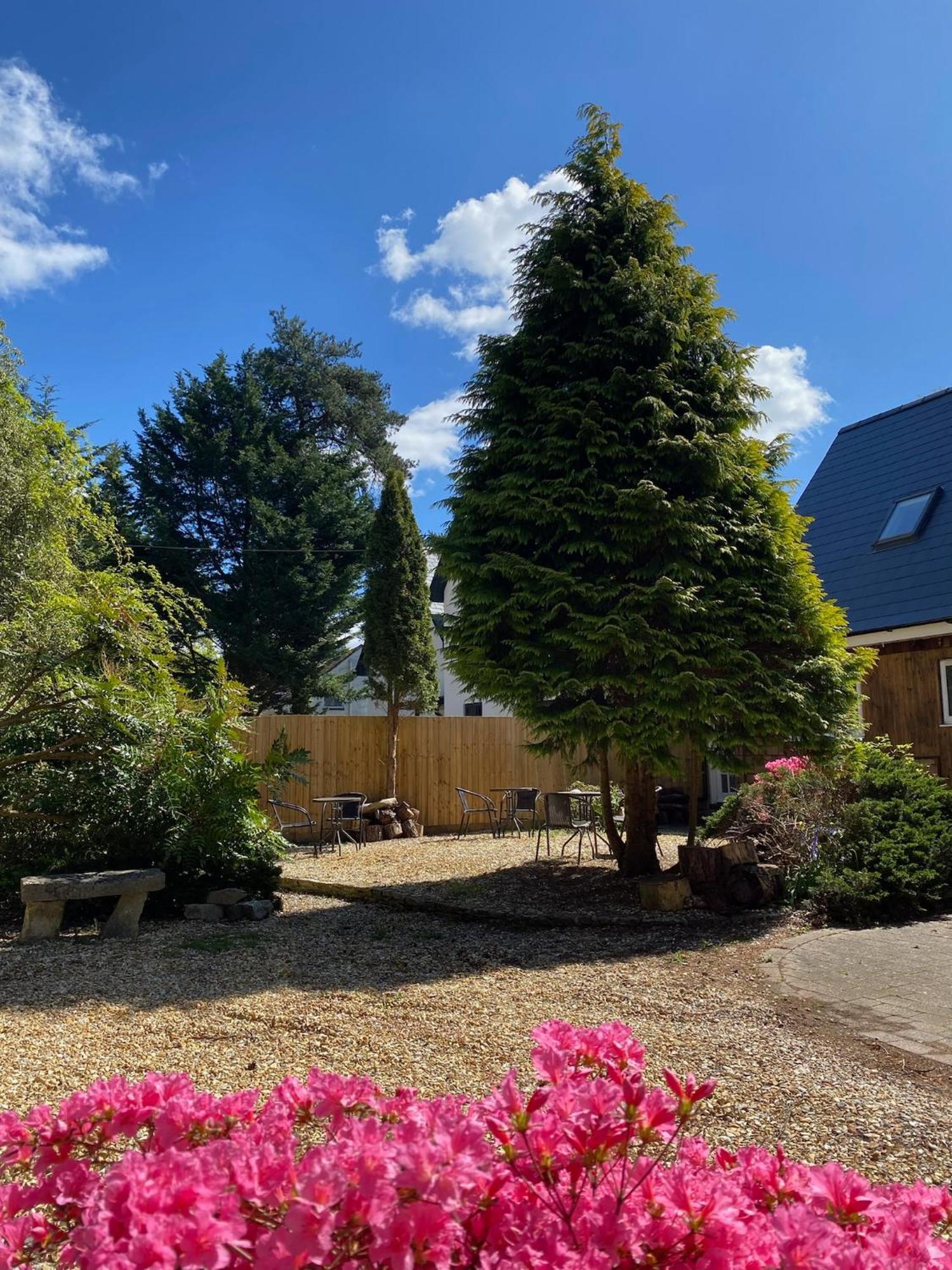 Petherton Cottage Ringwood Esterno foto